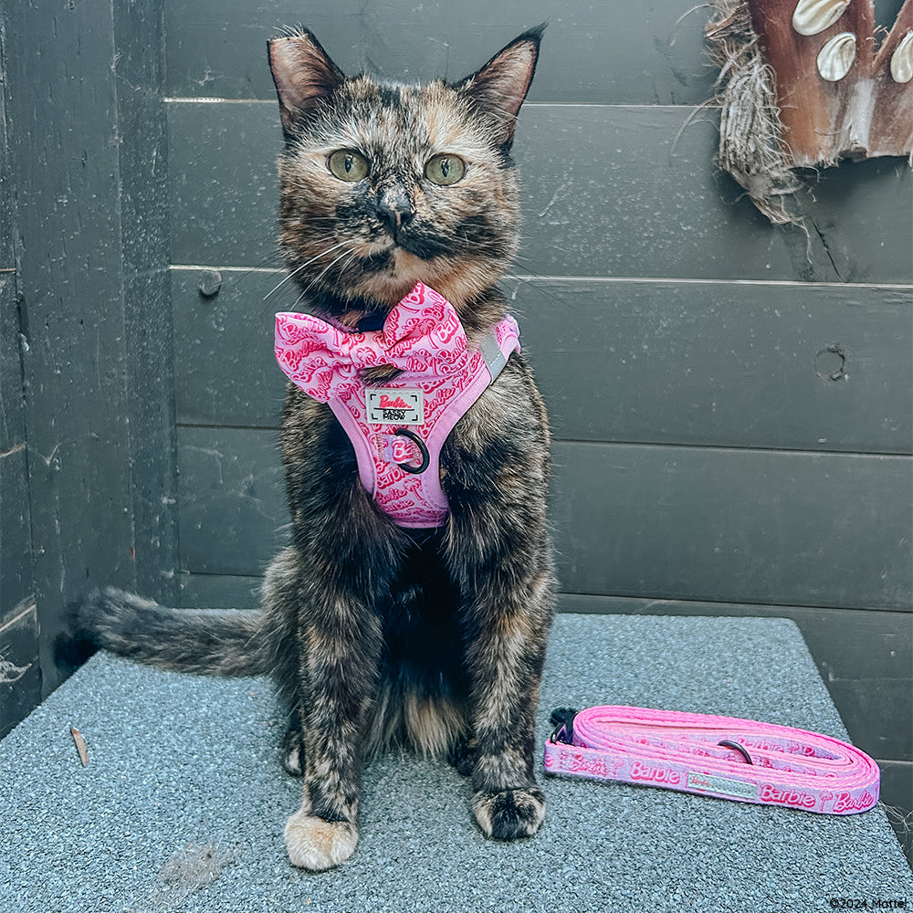 Cat Collar - BARBIE™ Malibu