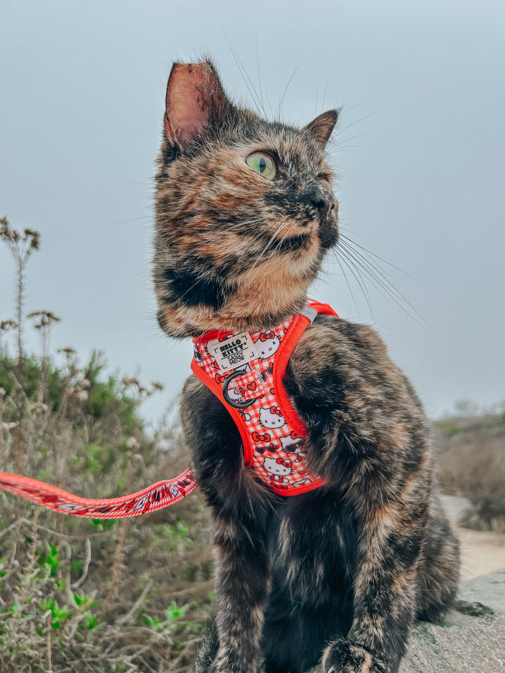 Cat Leash - Hello Kitty® Red Classic