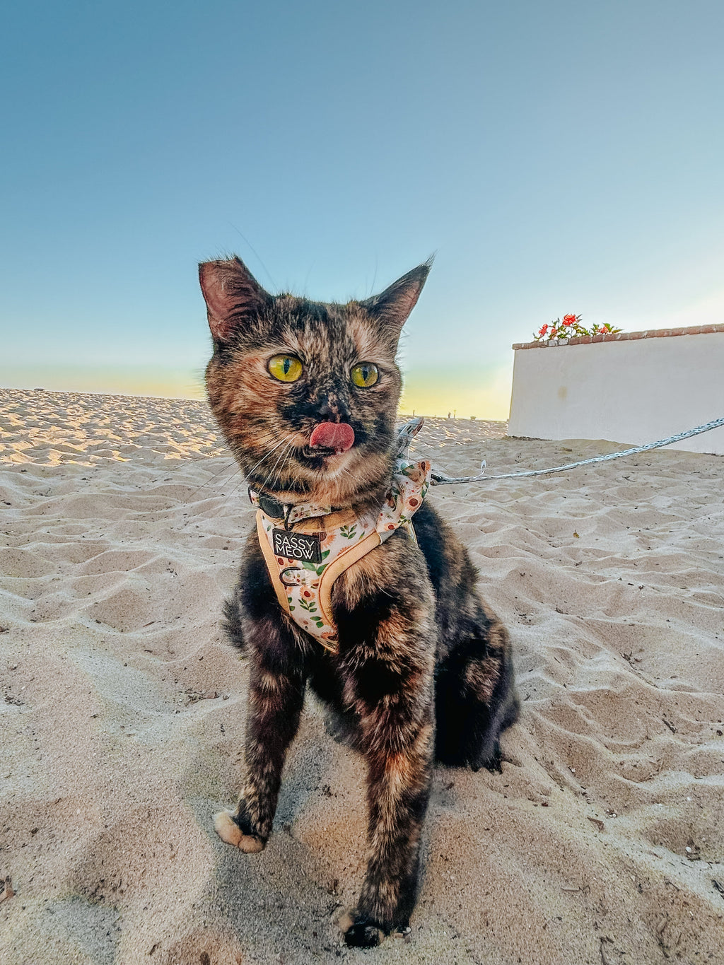 Cat Step-In Harness - Sunflower Dreams