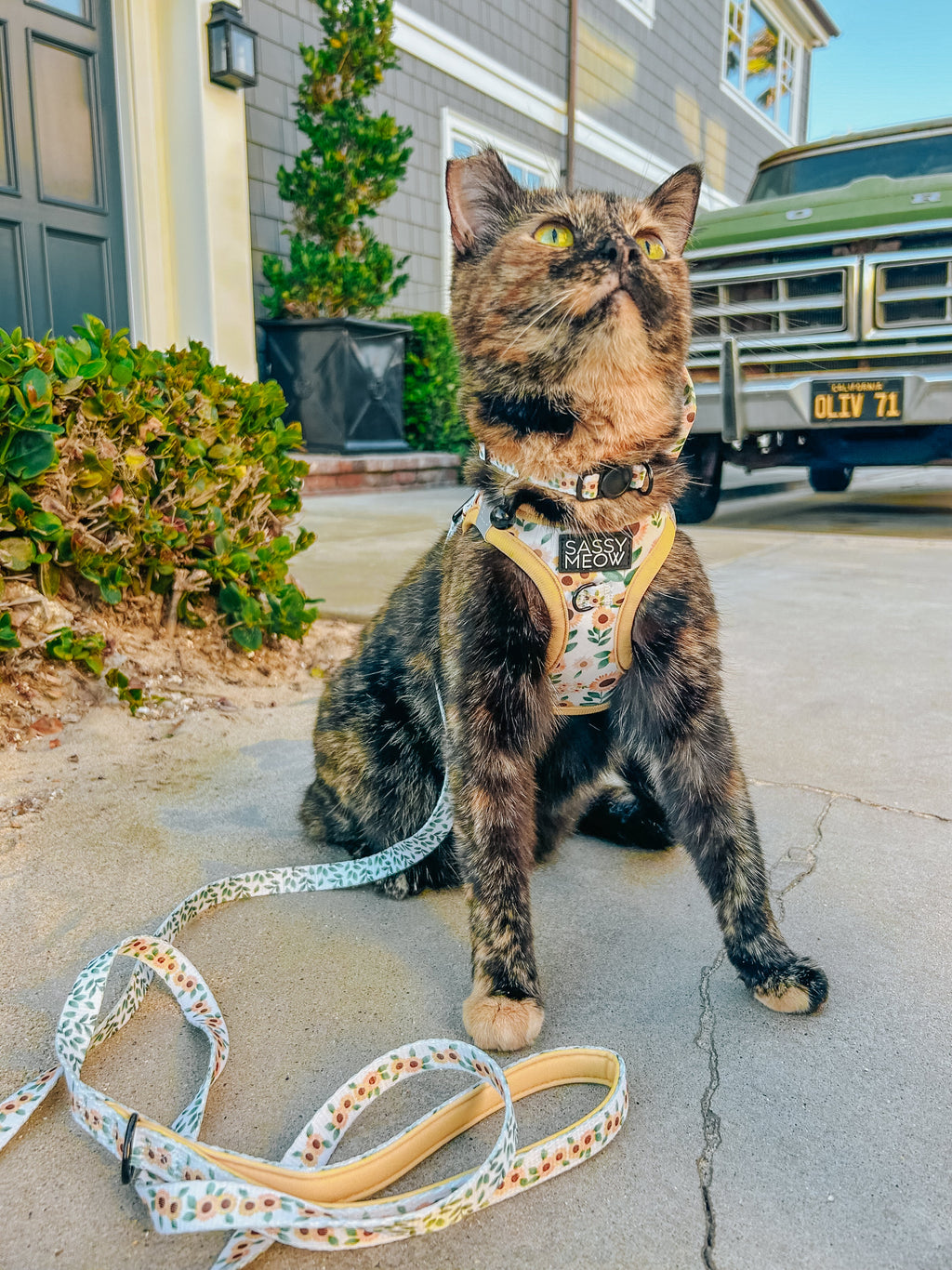 Cat Collar - Sunflower Dreams