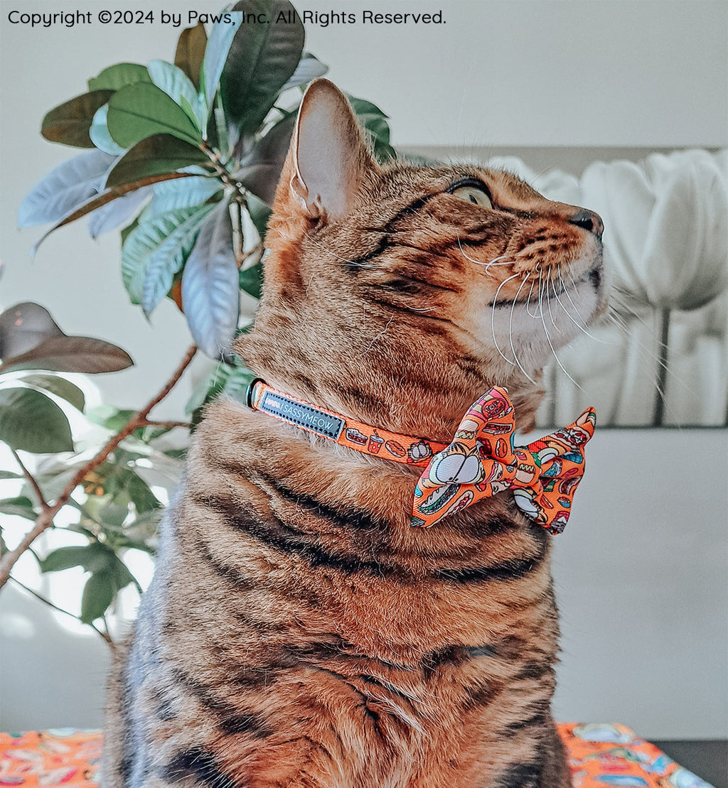 Cat Collar - Garfield™