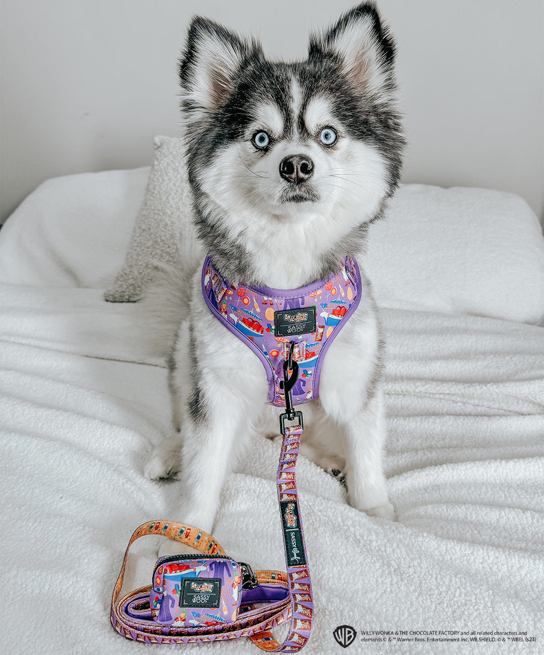 Dog Leash - Willy Wonka & The Chocolate Factory™