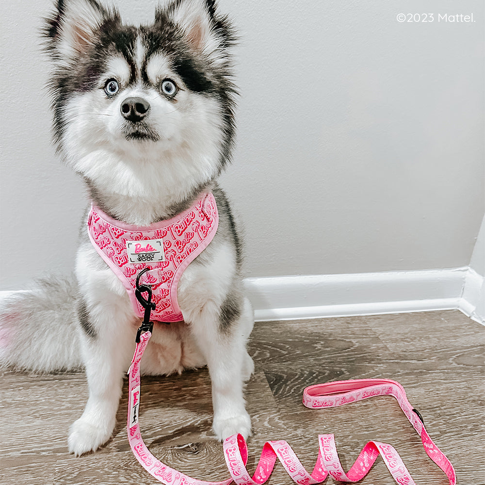 Dog Leash - BARBIE™ Malibu