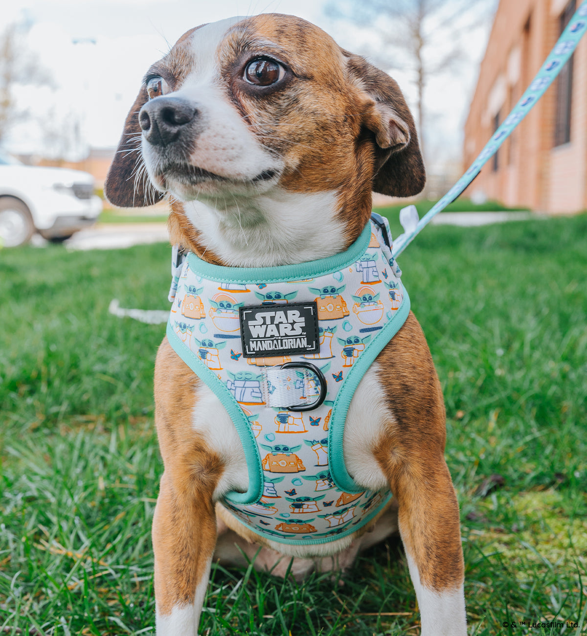 Dog Adjustable Harness - STAR WARS™ The Child™