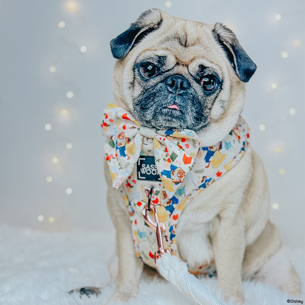 Dog Adjustable Harness - Disney's Belle
