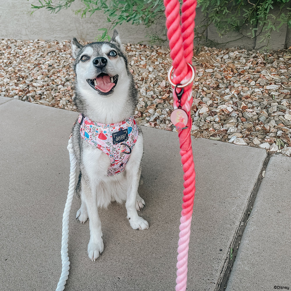 Dog Rope Leash - Disney's Aurora