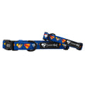 Dog Collar - Superman™ & Krypto™