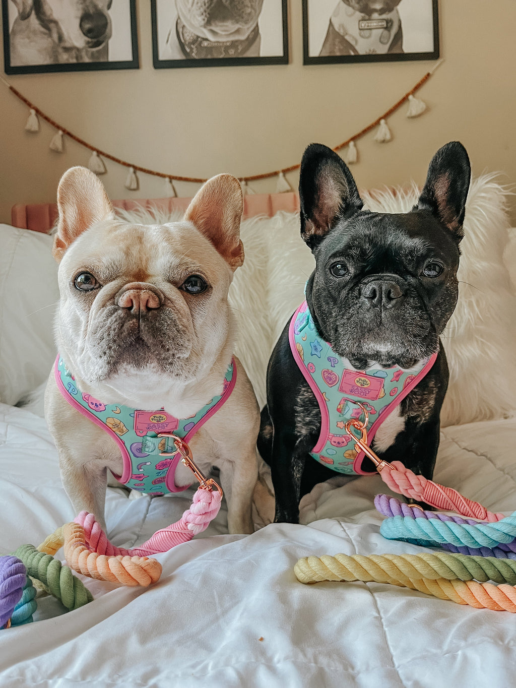 Dog Adjustable Harness - Polly Pocket™