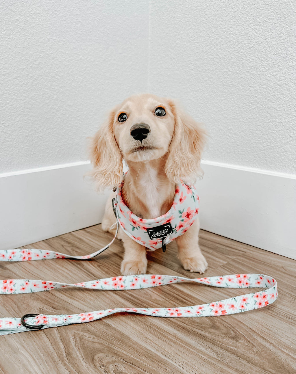 Dog Adjustable Harness - Sakura