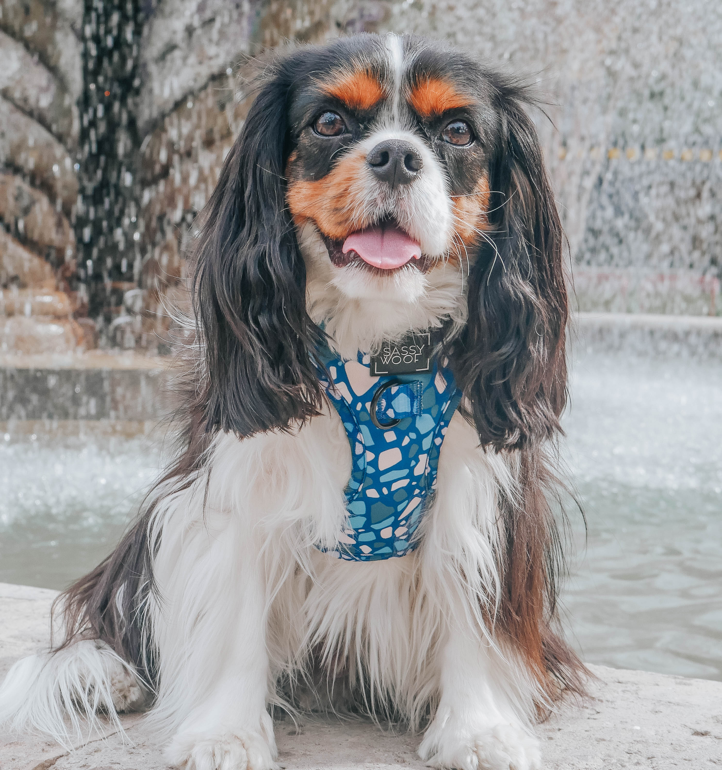 Dog Adjustable Harness - Santorini