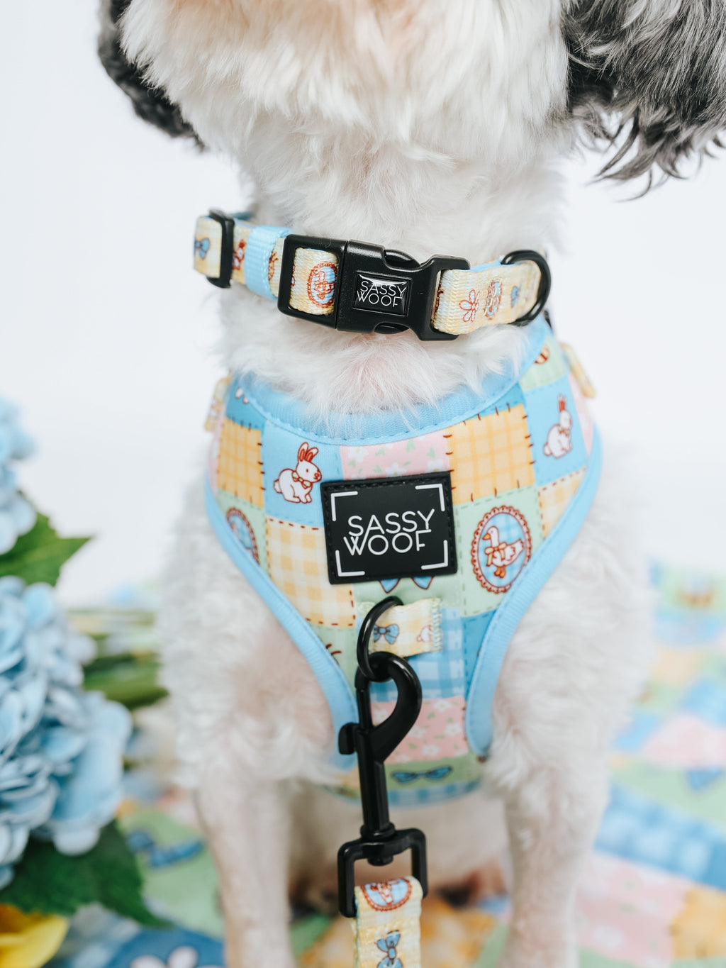 Dog Collar - Patch Perfect