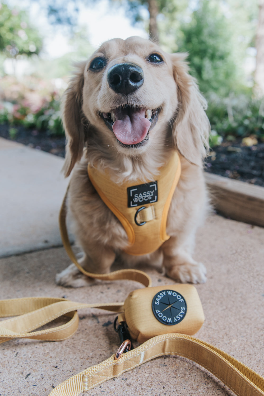 Dog Adjustable Harness - Sunflower Fields