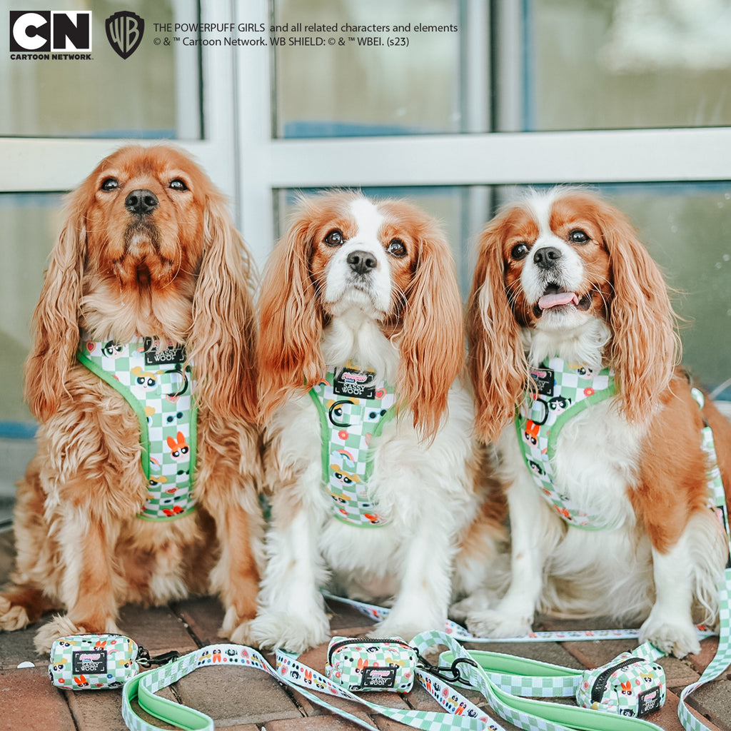 Dog Leash - The Powerpuff Girls™ (Green)