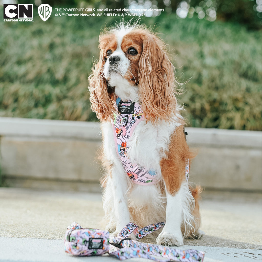Dog Leash - The Powerpuff Girls™ (Pink)