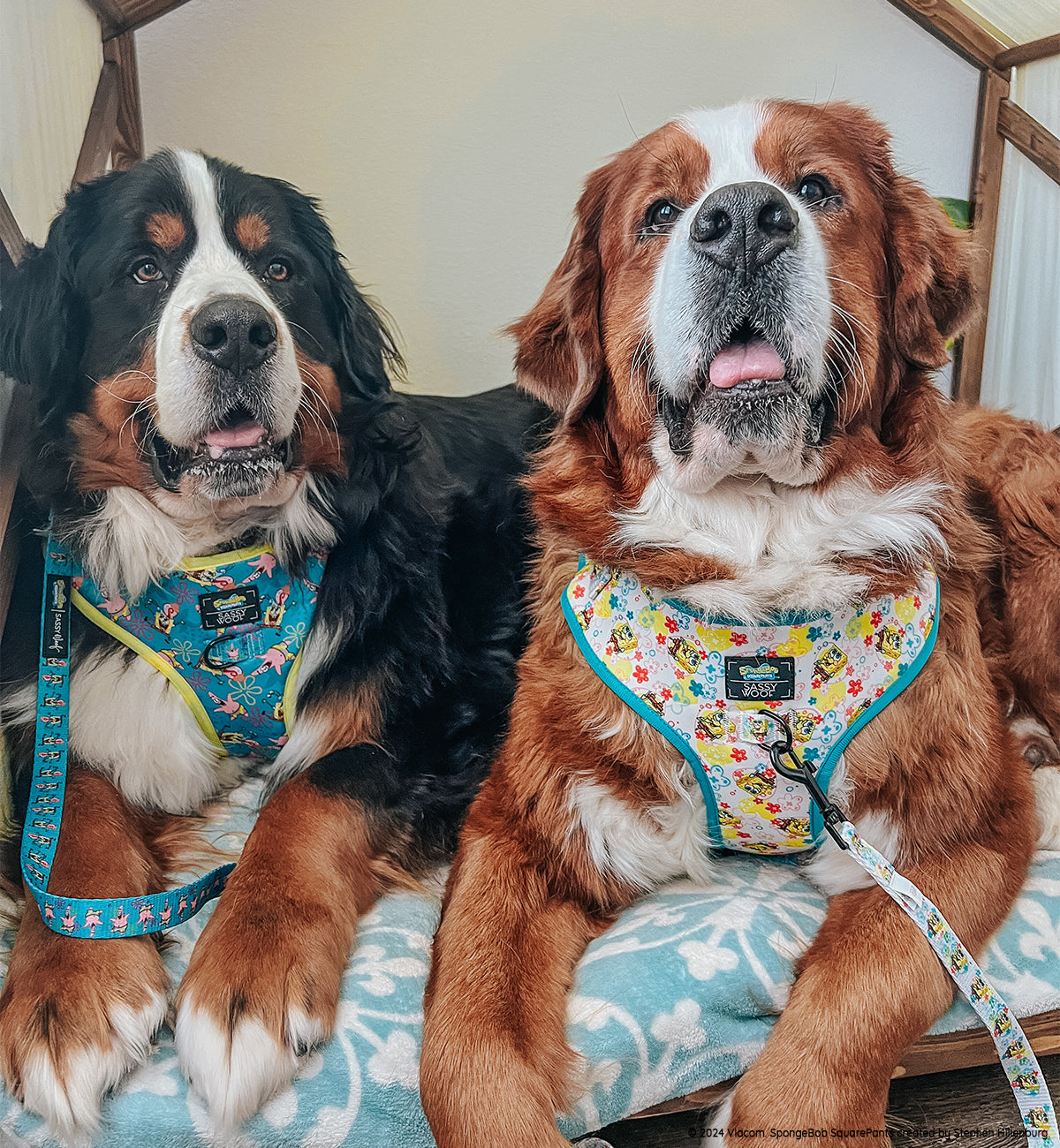 Dog Adjustable Harness - SpongeBob SquarePants™ Jelly Fishin'