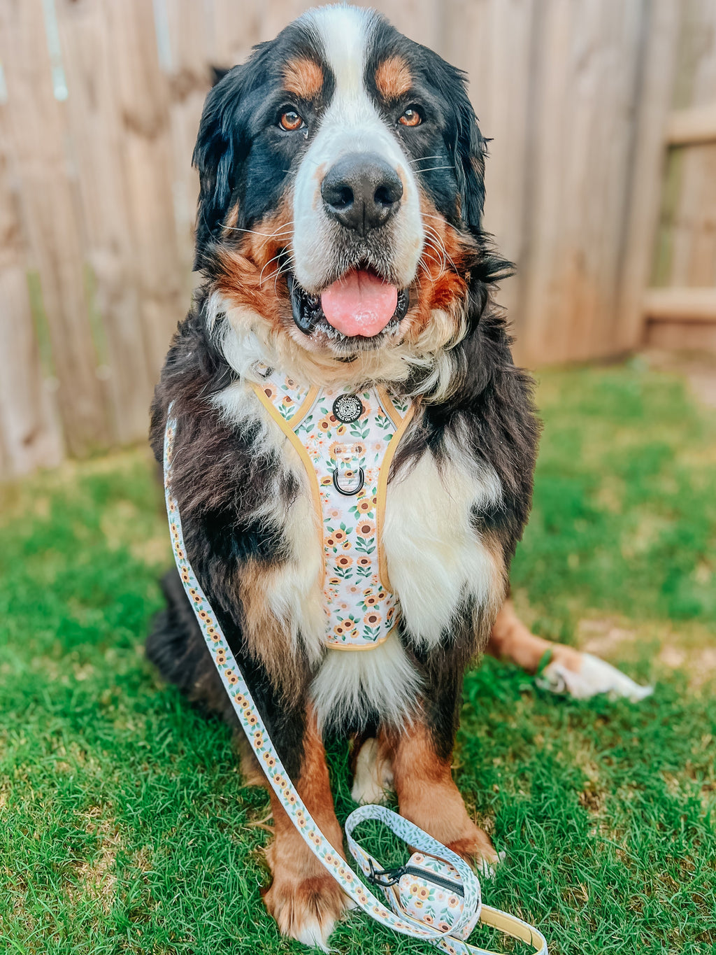Dog Step-In Harness - Sunflower Dreams