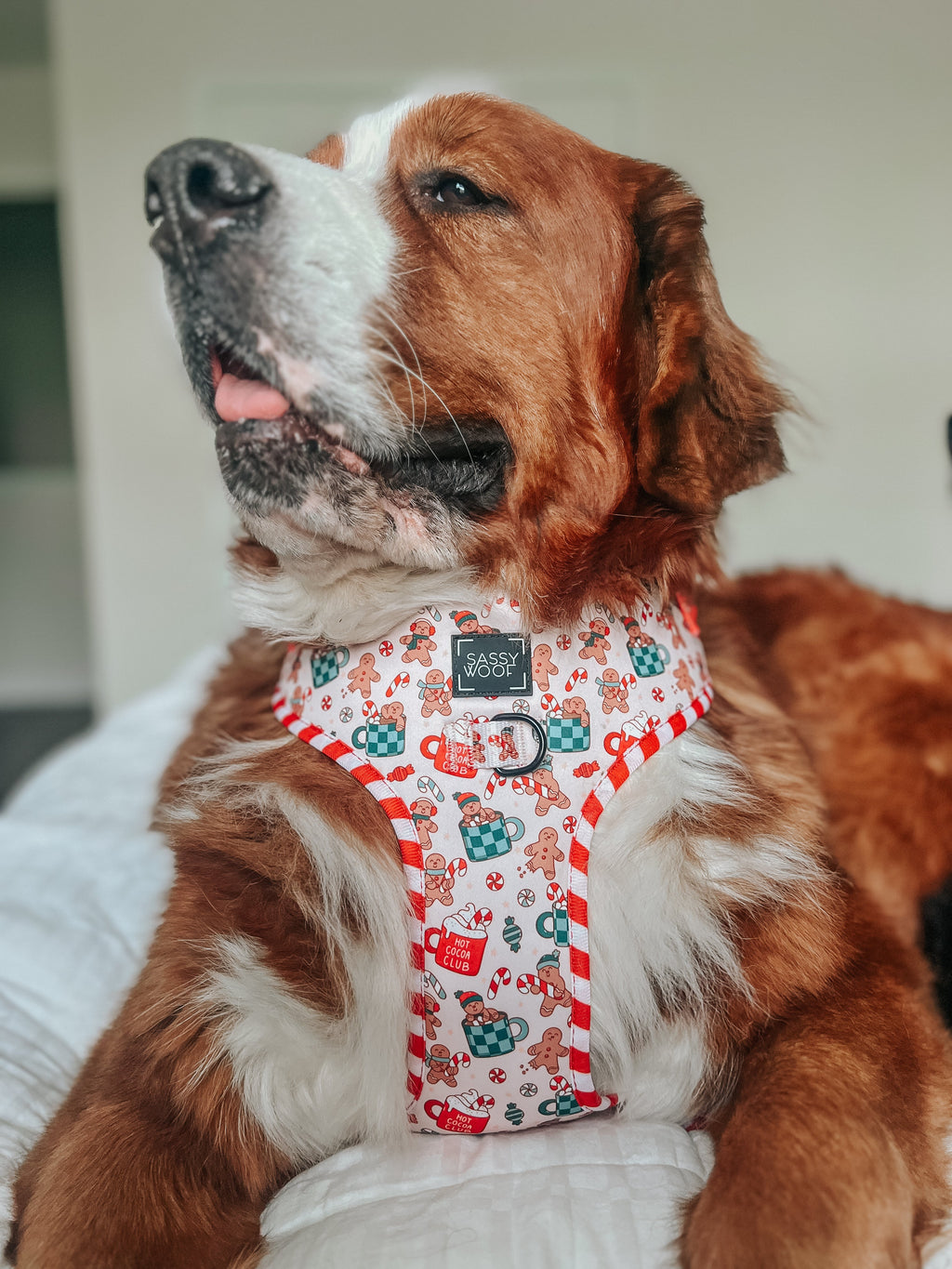 Dog Adjustable Harness - Hot Cocoa Club