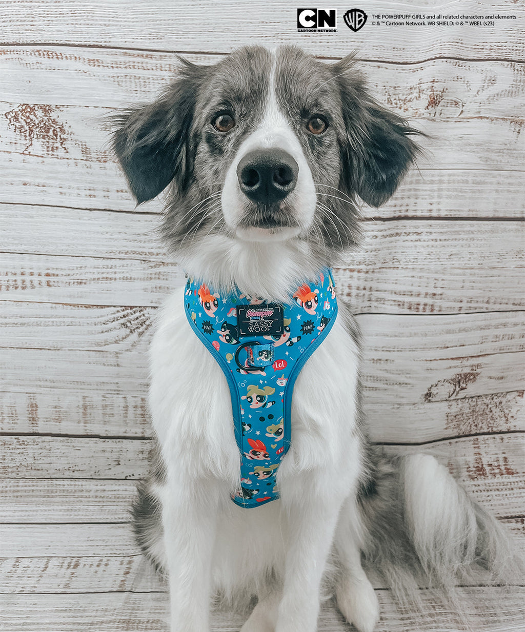 Dog Adjustable Harness - The Powerpuff Girls™ (Blue)