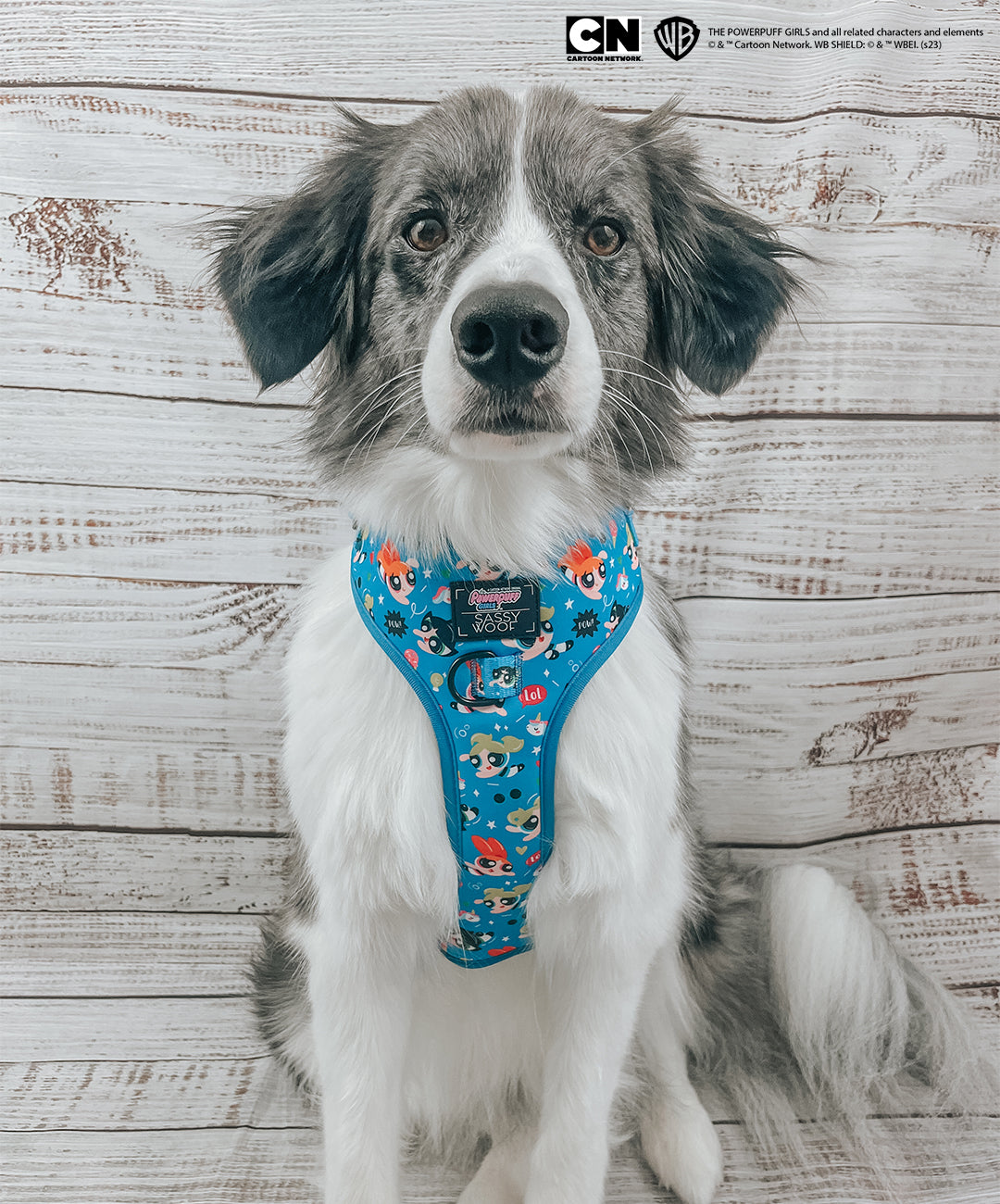 Dog Adjustable Harness - The Powerpuff Girls™ (Blue)