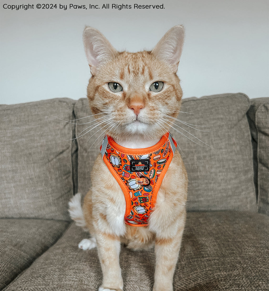 Cat Step-In Harness - Garfield™️