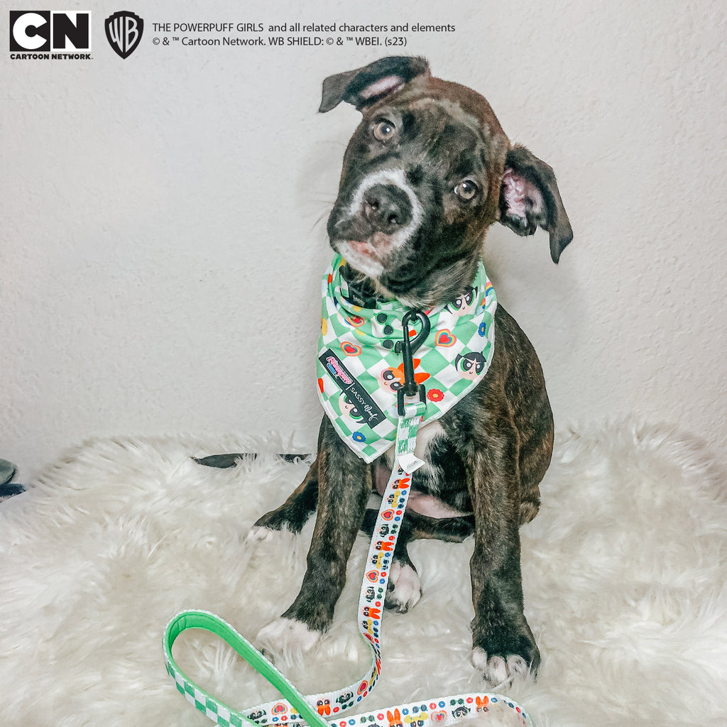 Dog Leash - The Powerpuff Girls™ (Green)