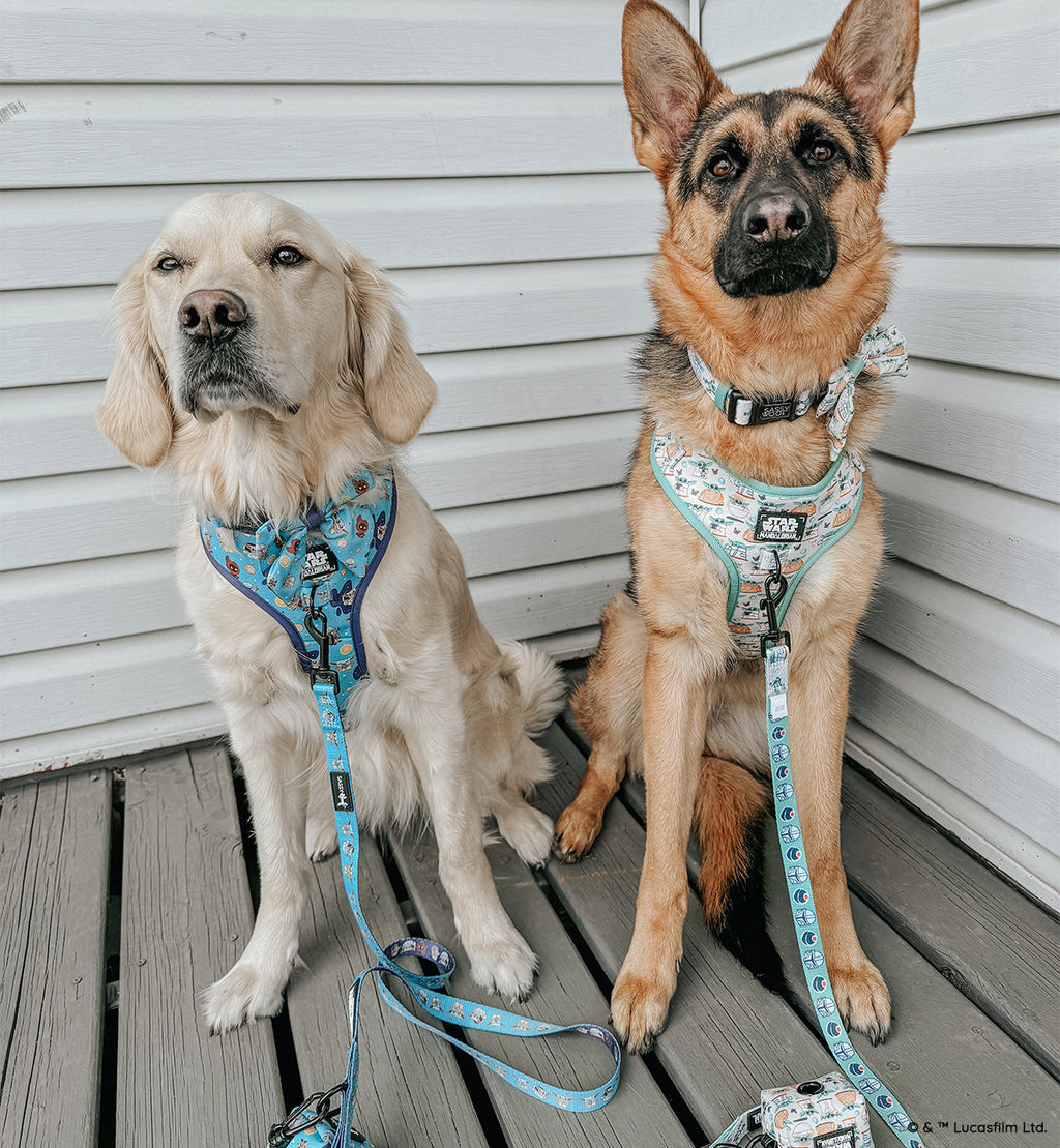 Dog Adjustable Harness - STAR WARS™ The Mandalorian™