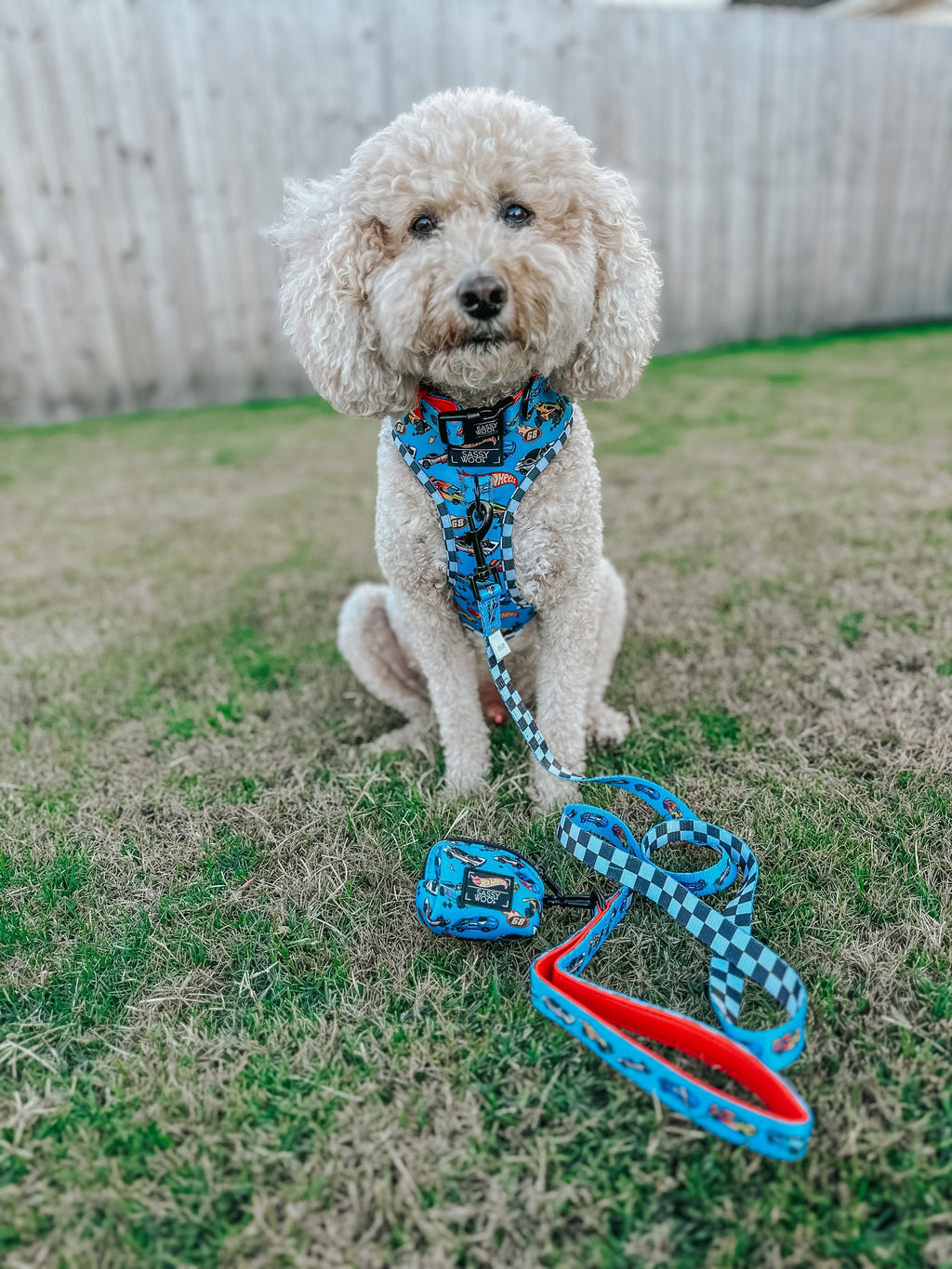 Dog Leash - Hot Wheels™