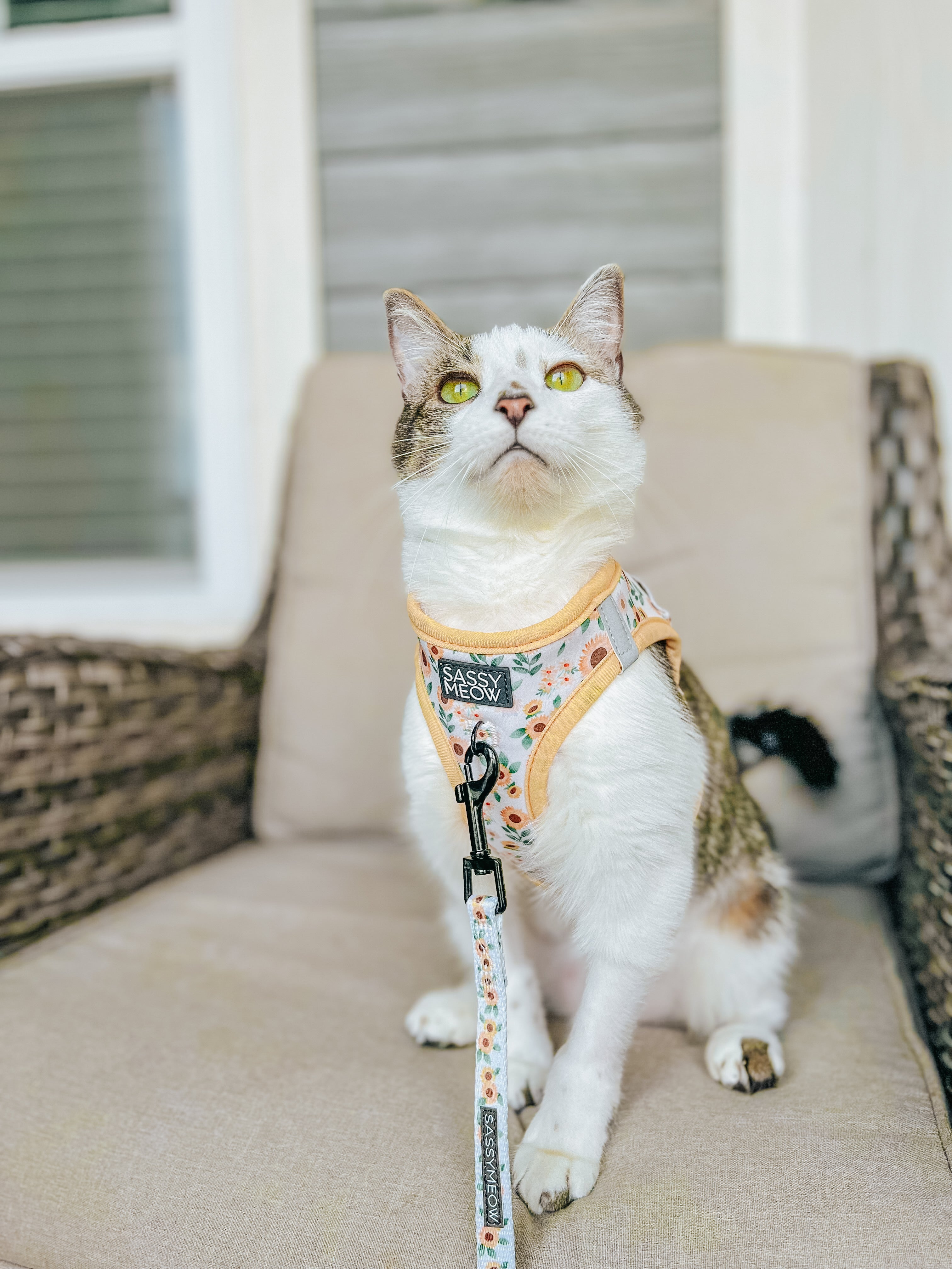 Cat Step-In Harness - Sunflower Dreams