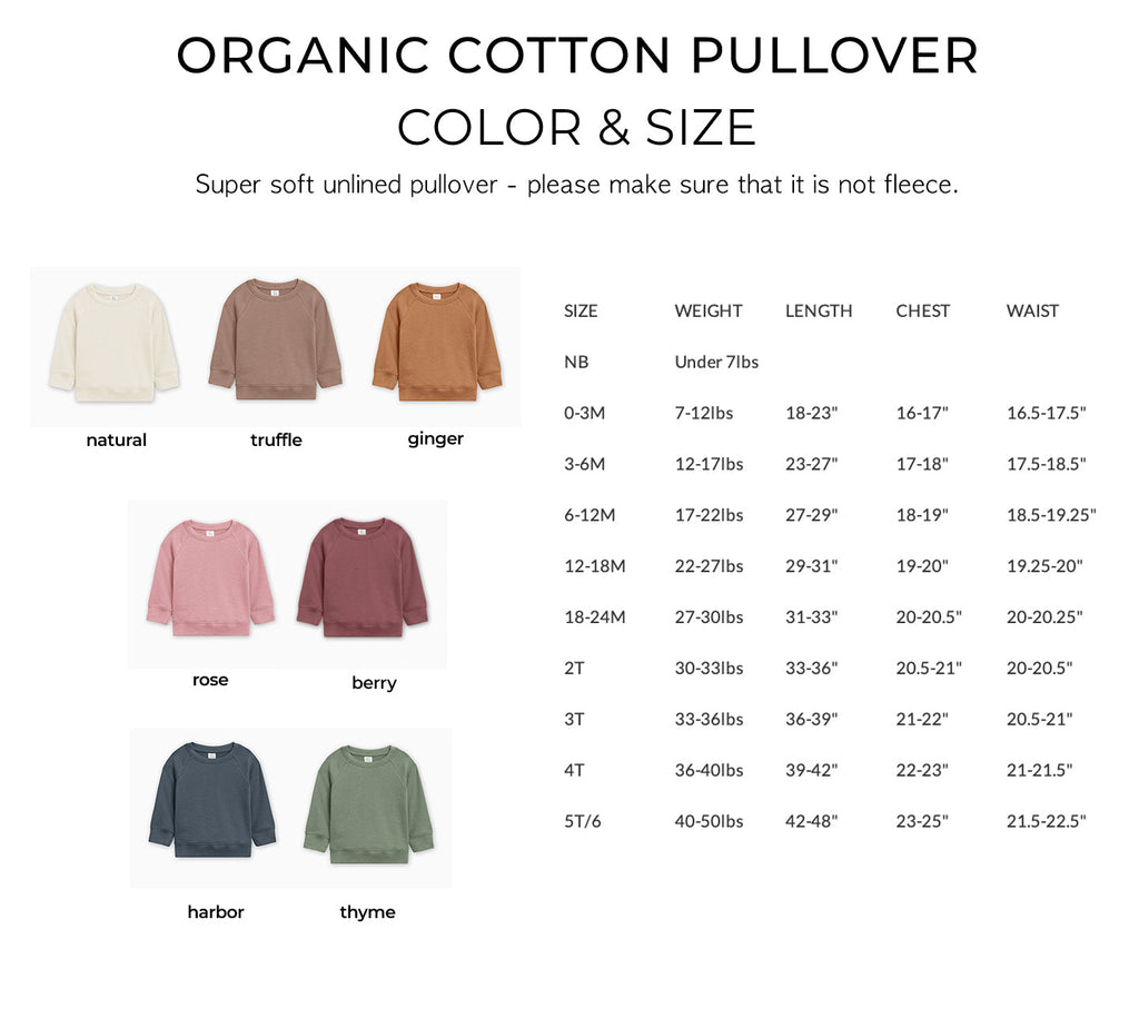 Two 2nd Birthday Cake Organic Cotton Baby Pullover