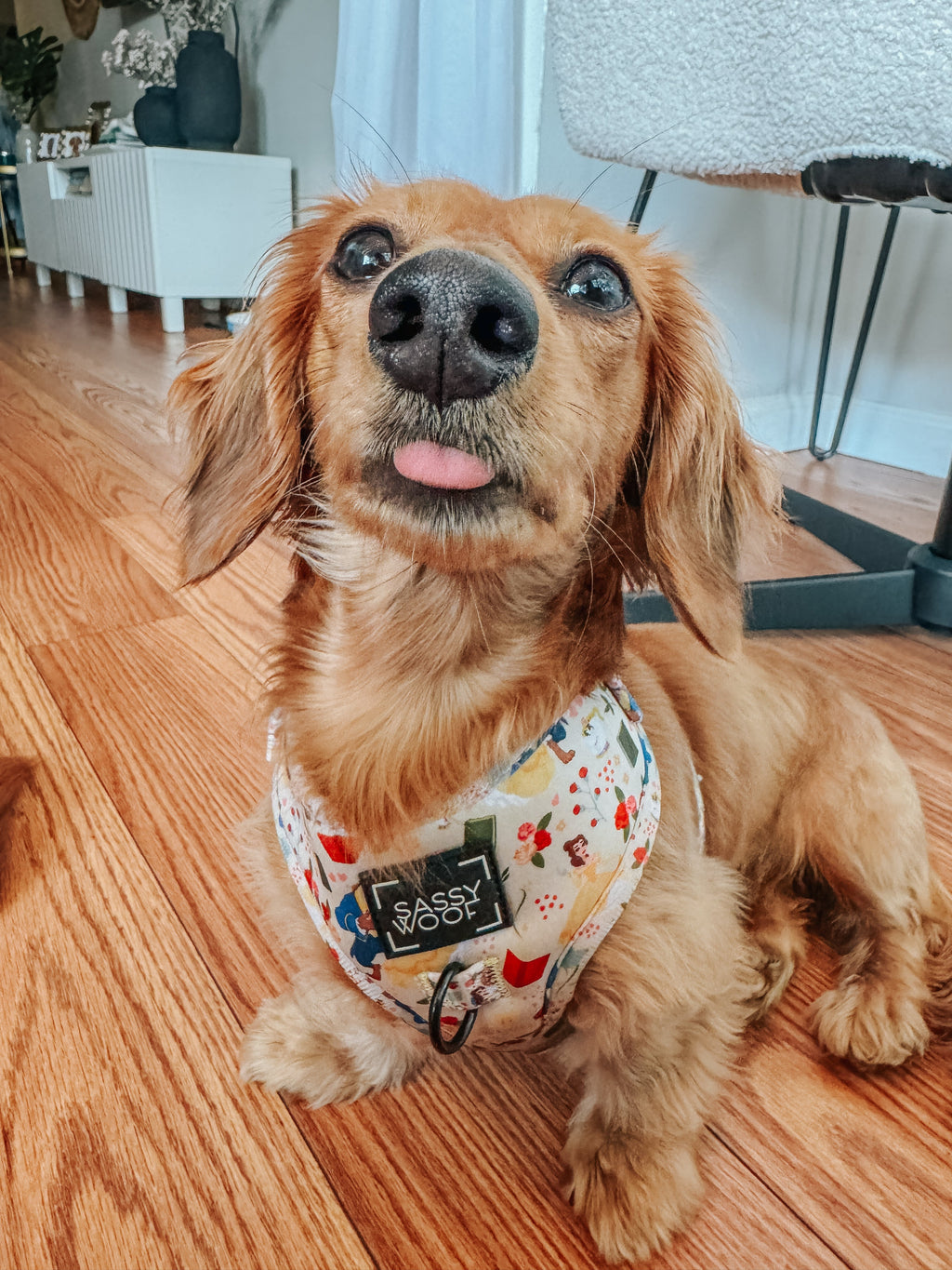 Dog Adjustable Harness - Disney's Belle