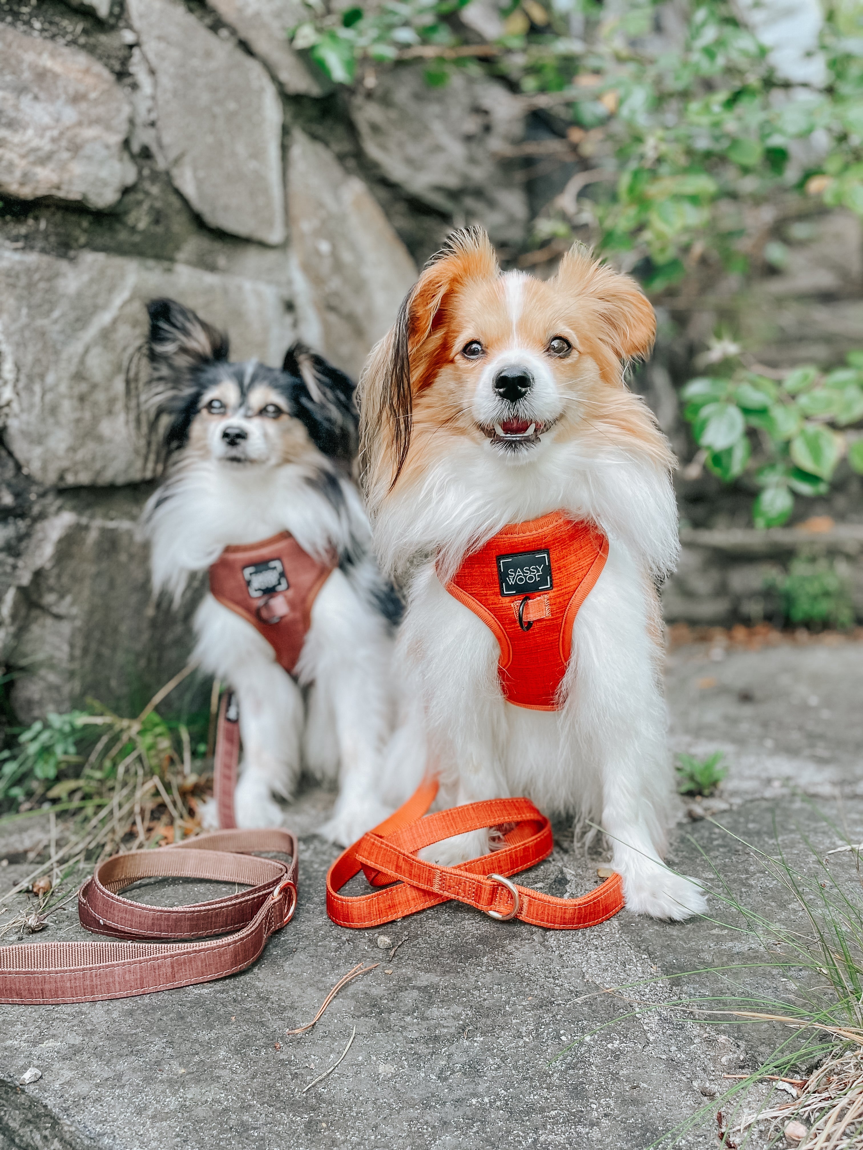 Dog Adjustable Harness - Foxy