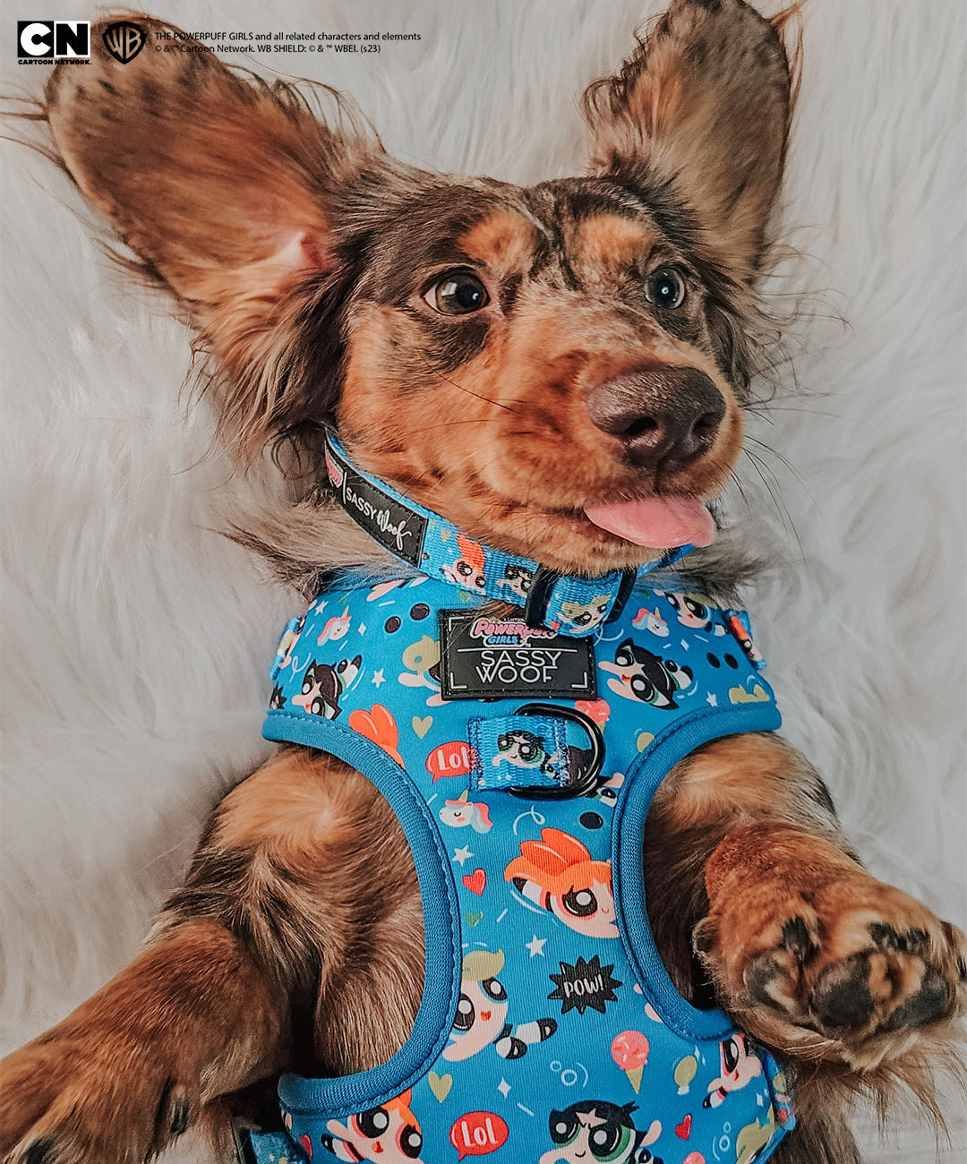 Dog Adjustable Harness - The Powerpuff Girls™ (Blue)