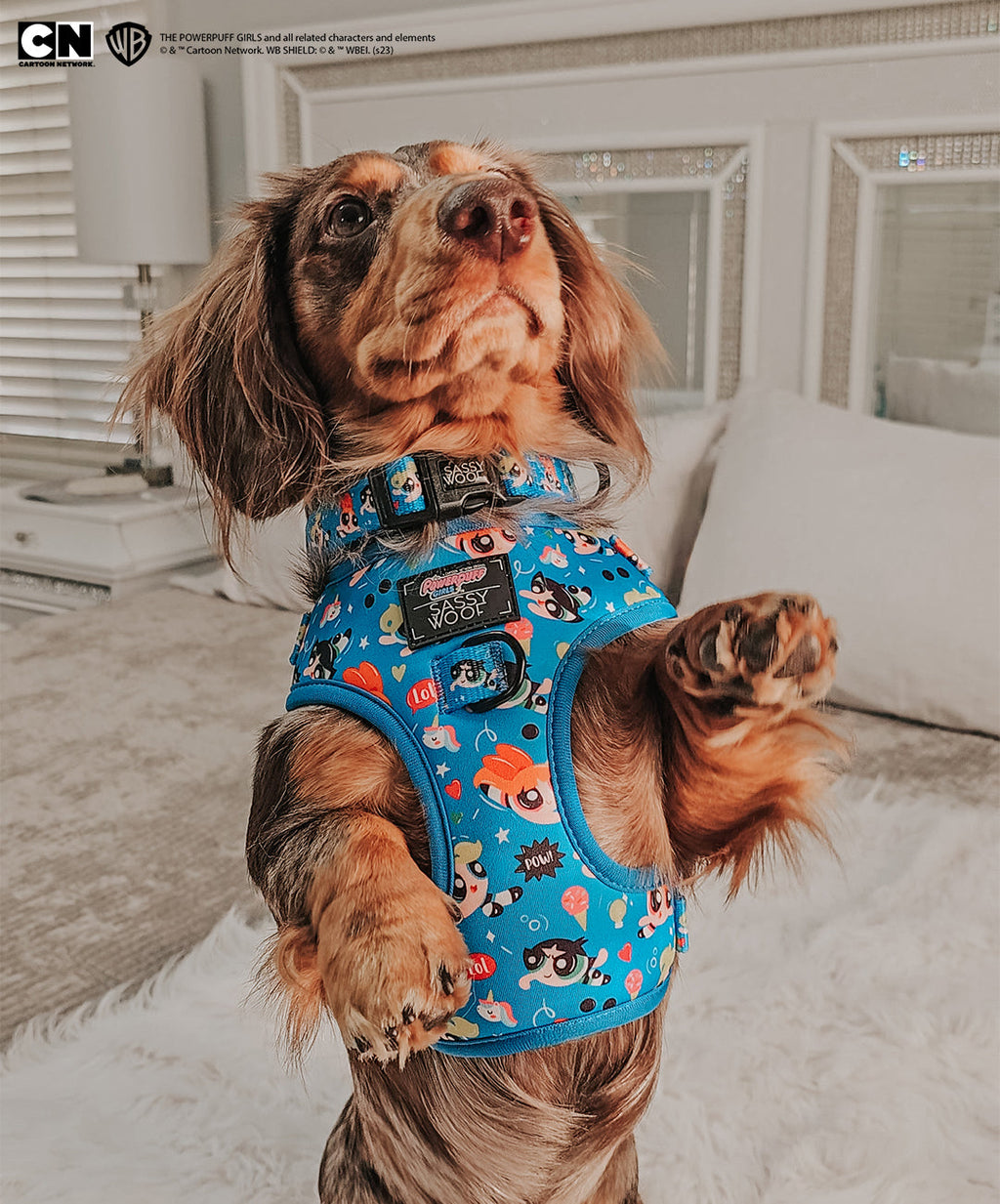 Dog Collar - The Powerpuff Girls™ (Blue)