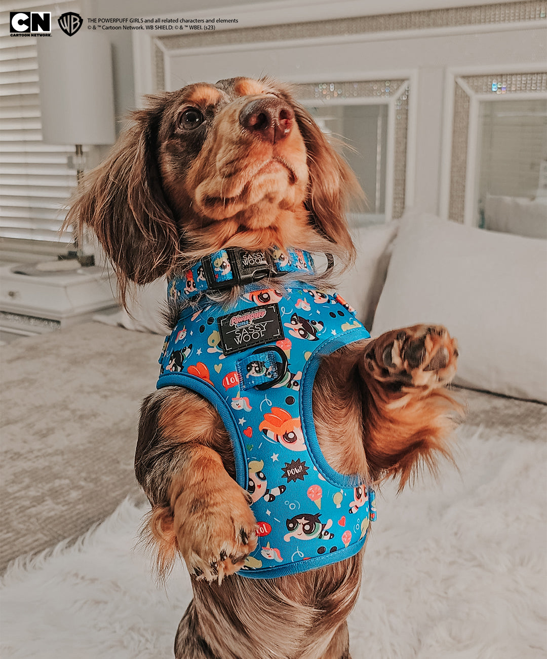 Dog Collar - The Powerpuff Girls™ (Blue)