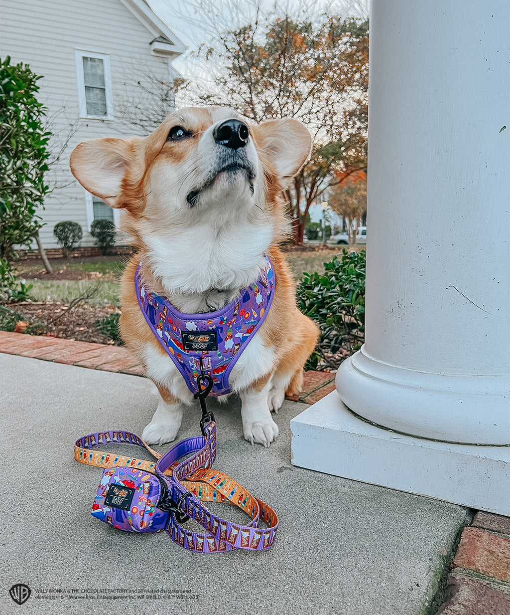 Dog Leash - Willy Wonka & The Chocolate Factory™