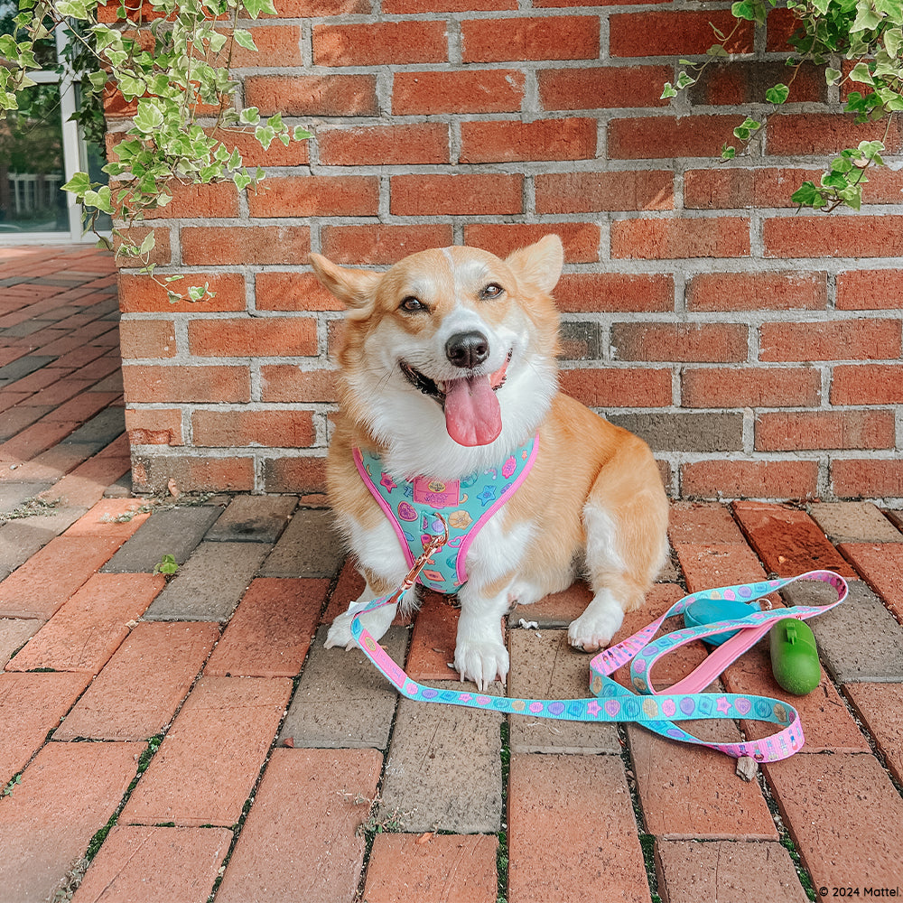 Dog Leash - Polly Pocket™