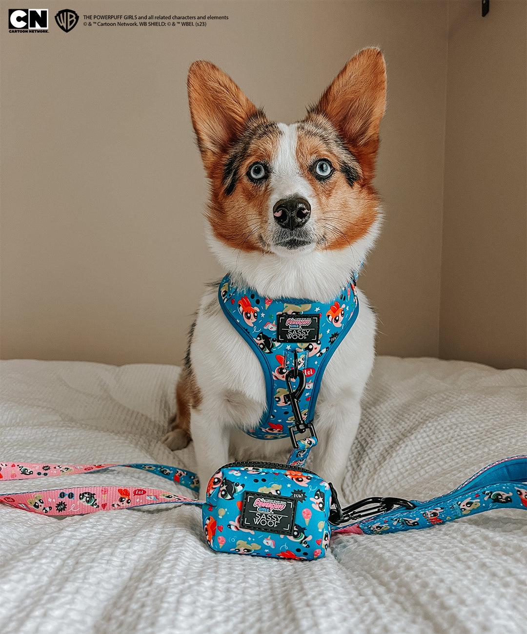 Dog Leash - The Powerpuff Girls™ (Blue)