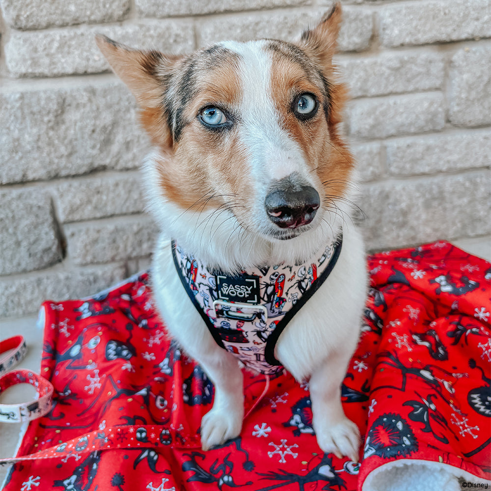 Reversible Harness - The Nightmare Before Christmas™