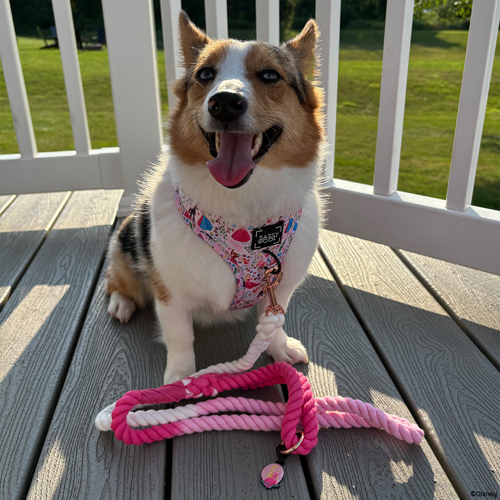 Dog Rope Leash - Disney's Aurora