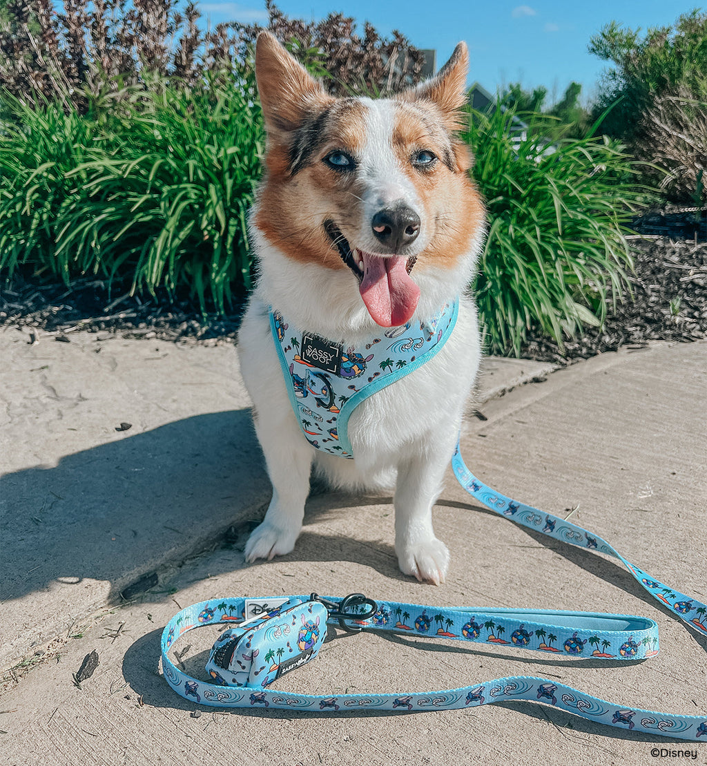 Dog Leash - Disney's Stitch