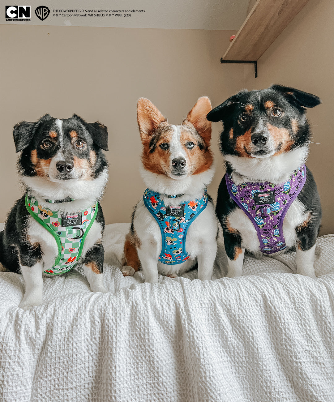 Dog Adjustable Harness - The Powerpuff Girls™ (Blue)