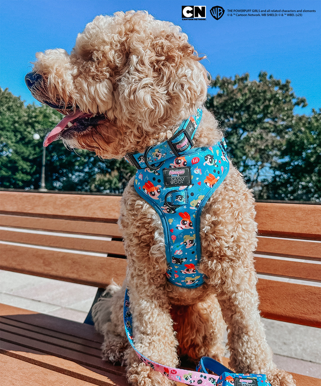 Dog Collar - The Powerpuff Girls™ (Blue)