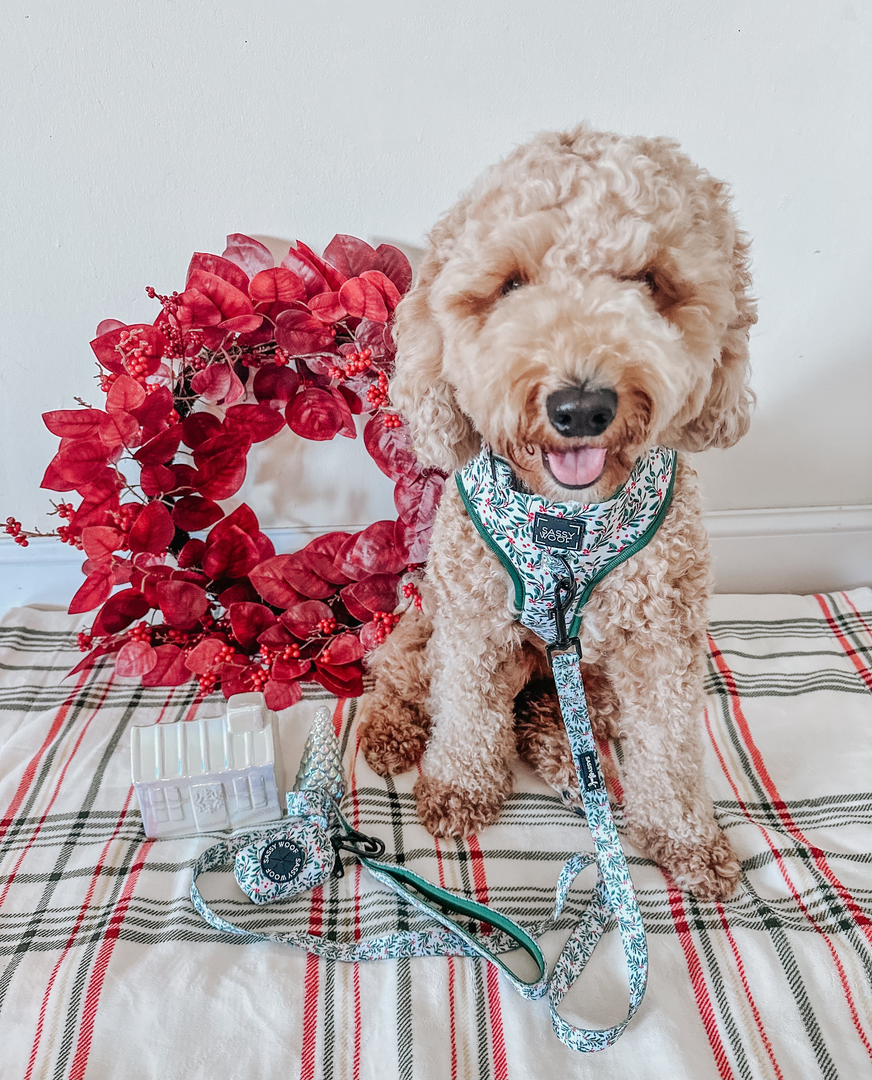 Dog Adjustable Harness - Under the Mistletoe