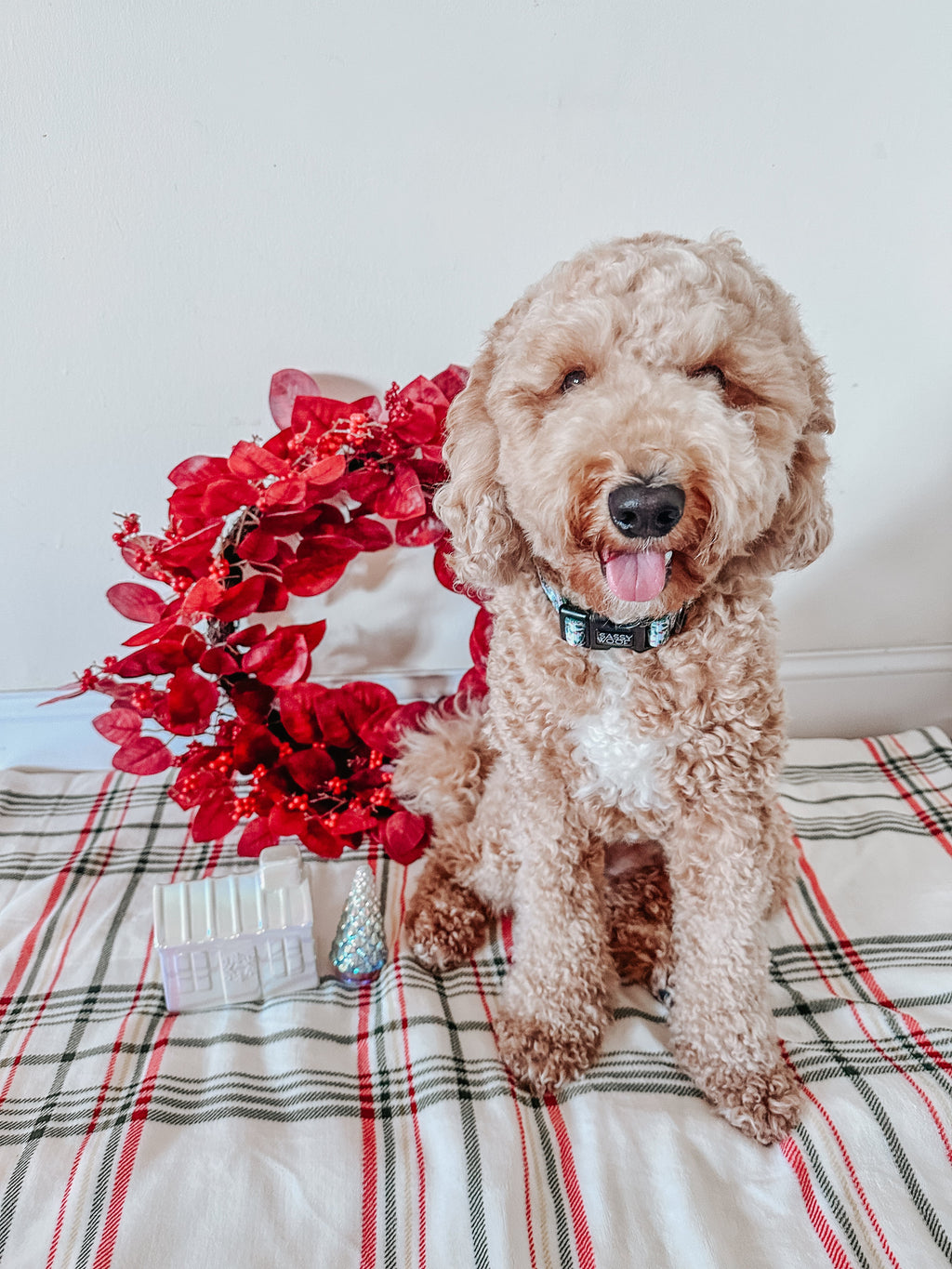 Dog Collar - Under the Mistletoe