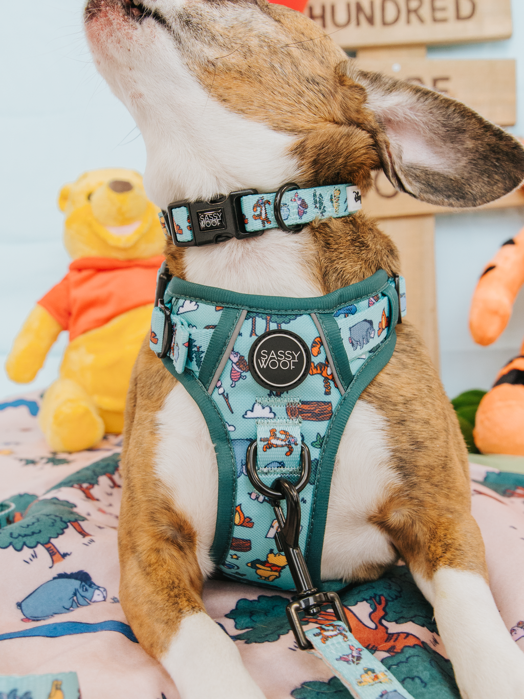 Dog Step-in Harness - Disney's Winnie the Pooh