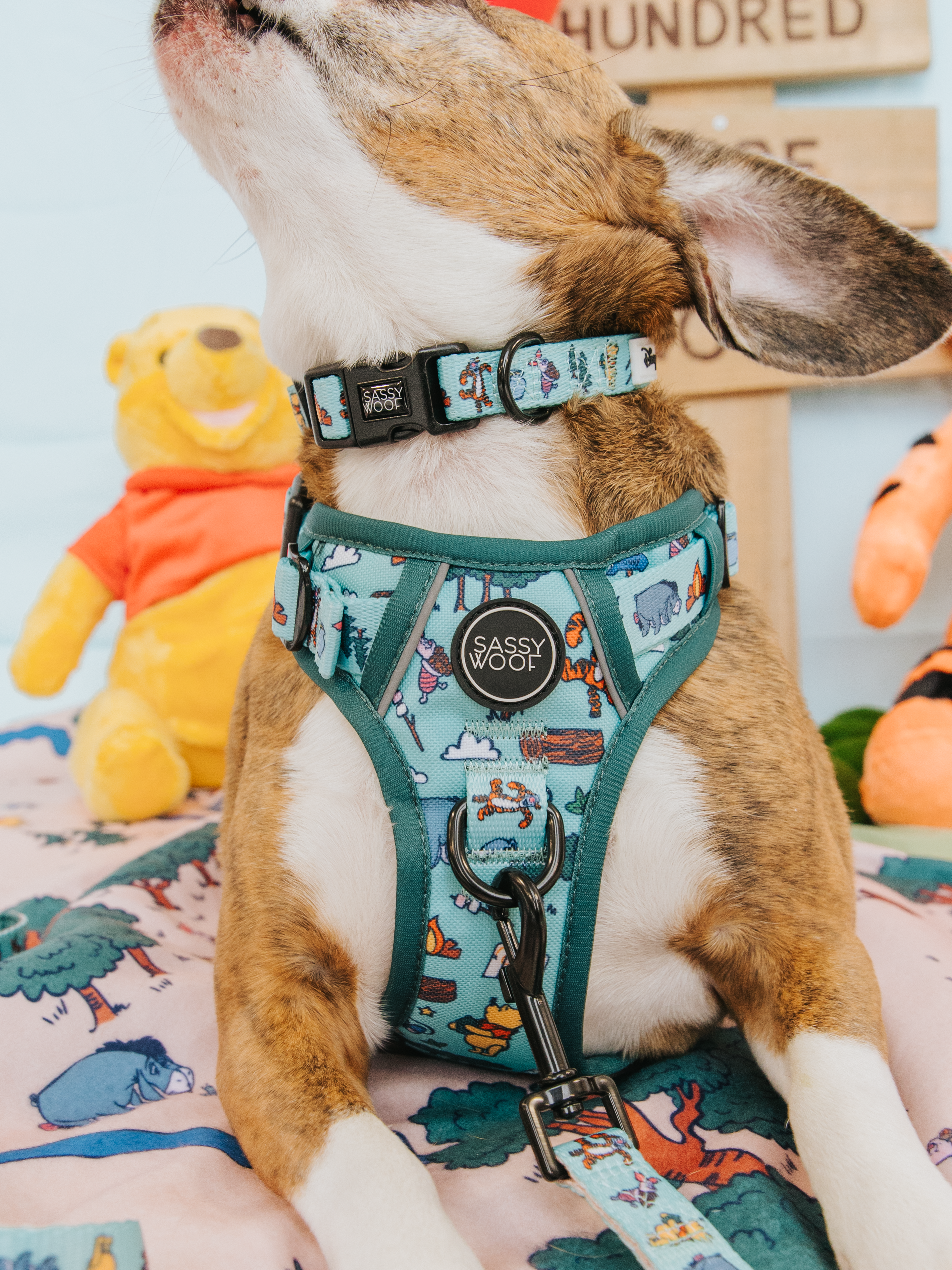 Dog Step-in Harness - Disney's Winnie the Pooh