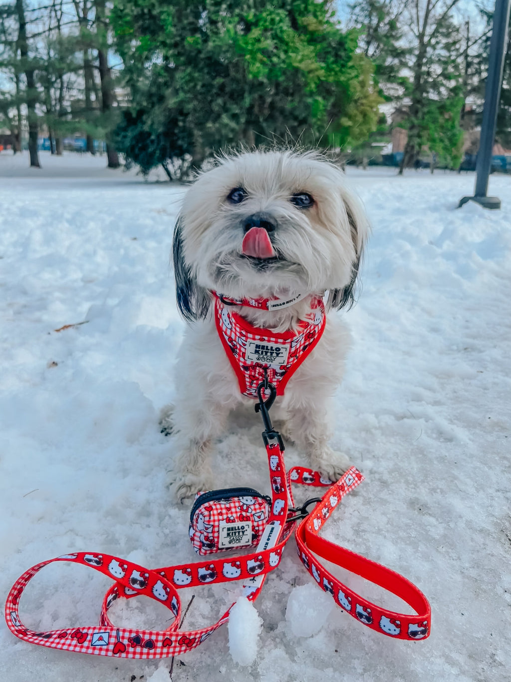 Dog Collar - Hello Kitty® Red Classic