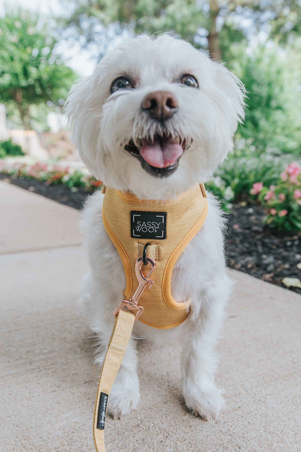 Dog Adjustable Harness - Sunflower Fields