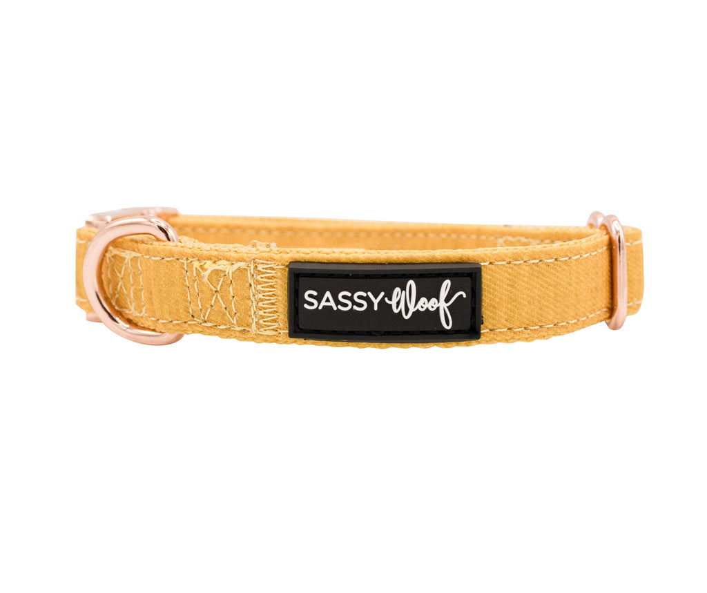 Dog Collar - Sunflower Fields