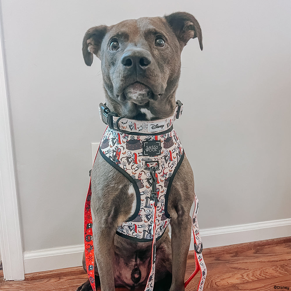 Dog Collar - The Nightmare Before Christmas™ (Beige)